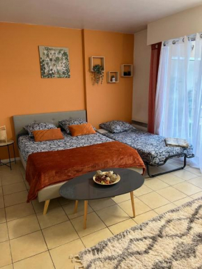 Studio proche promenade des anglais